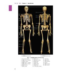 实用人体解剖彩色图谱（第3版）]-人卫智慧服务商城